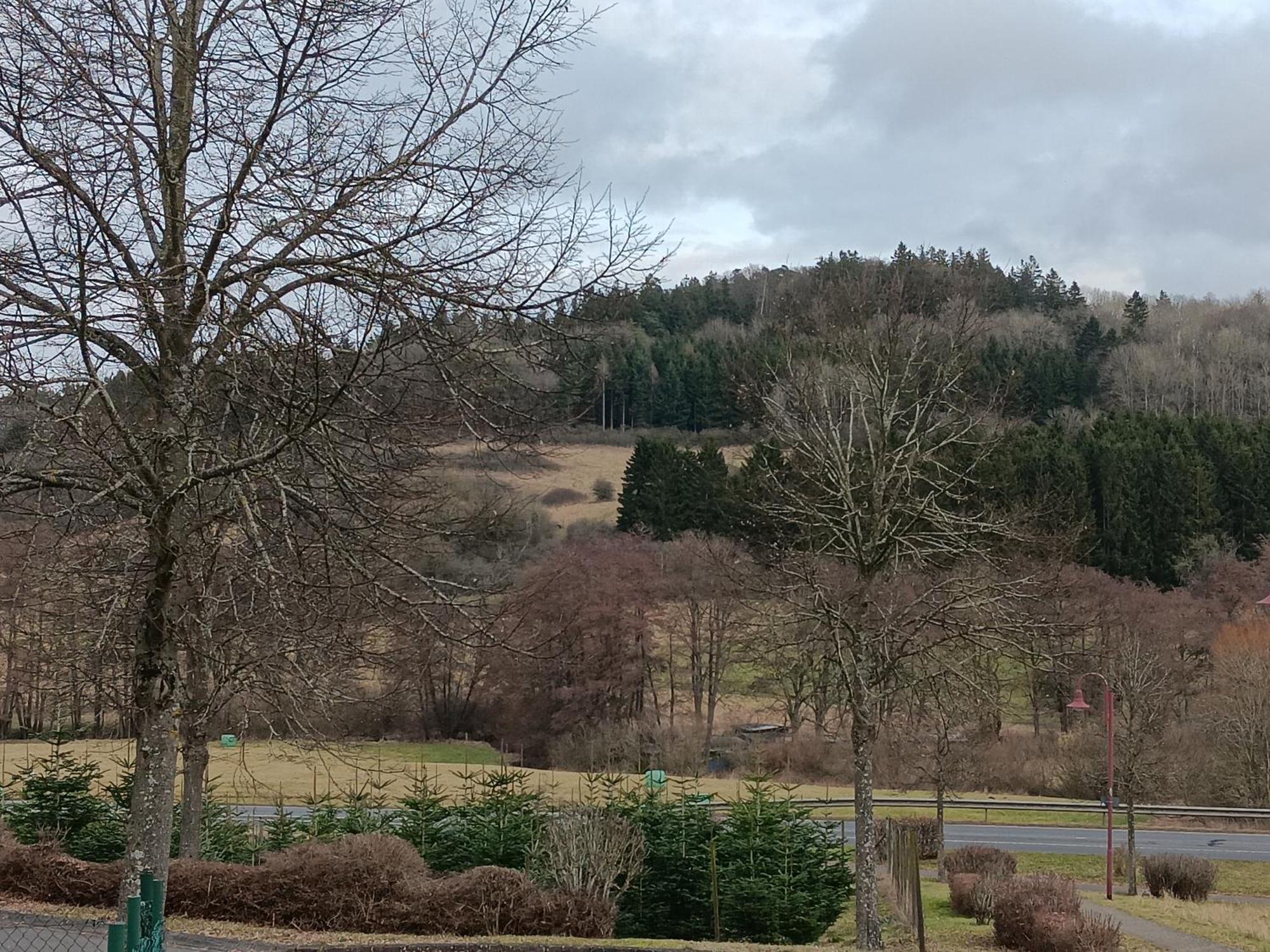 Ferienwohnung Schwarzenbergblick Кельберг Экстерьер фото